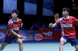 爱游戏-德国队完胜马来西亚队，黄鸭组合扛起全队的简单介绍