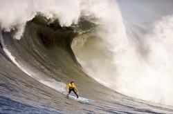 AYX体育赛事-鹈鹕斩落太阳，字母哥如何从内线霸主蜕变为关键先生