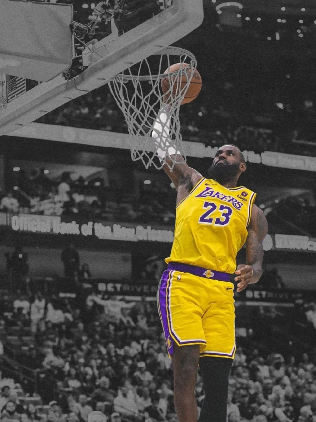 湖人翻盘福建队，锡安惊艳四座